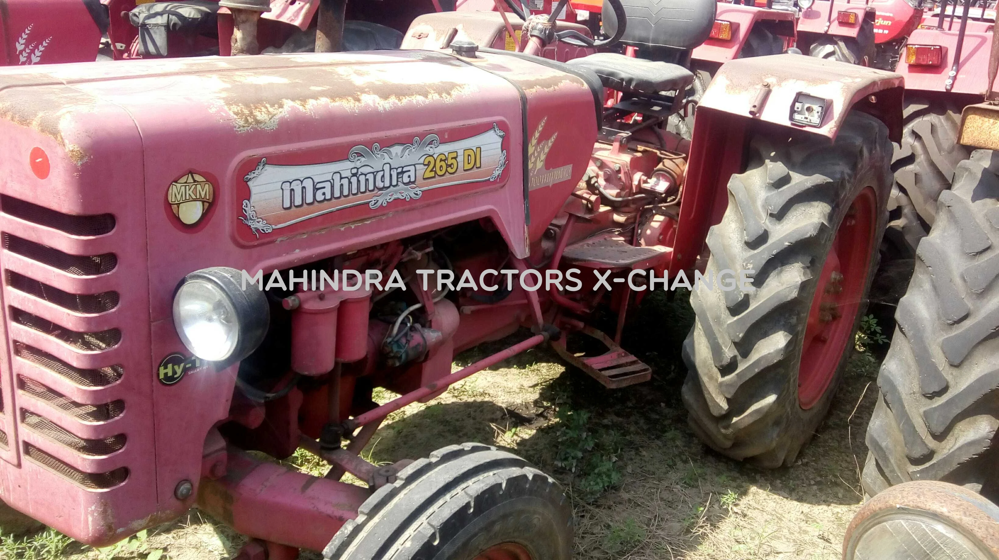 2010 Mahindra 265 DI-2