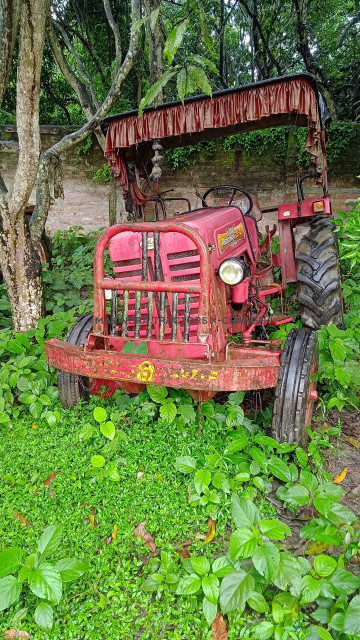2013 Mahindra 255 DI Power plus-3