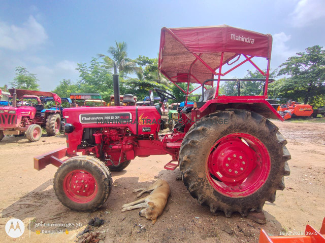 2025 Mahindra 265 XP PLUS-2